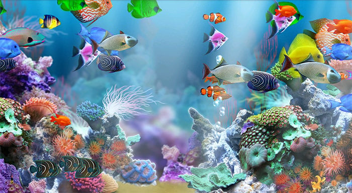 50-best-aquarium-backgrounds-to-download-print-free-premium