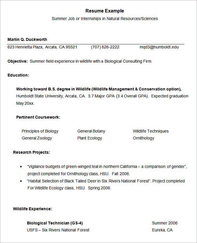 Resume Sample for Summer Intern Template