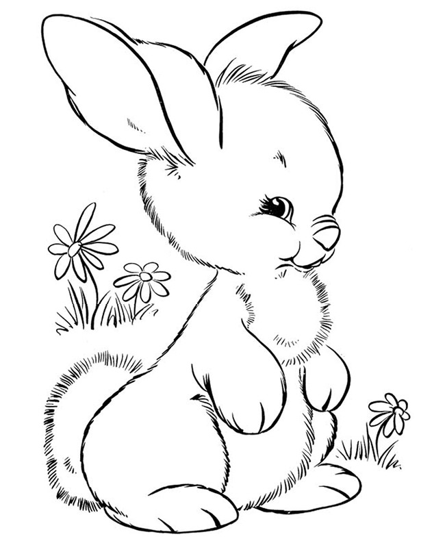 rabbit coloring pages to print - photo #47