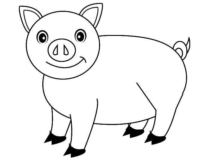 pig-template-animal-templates